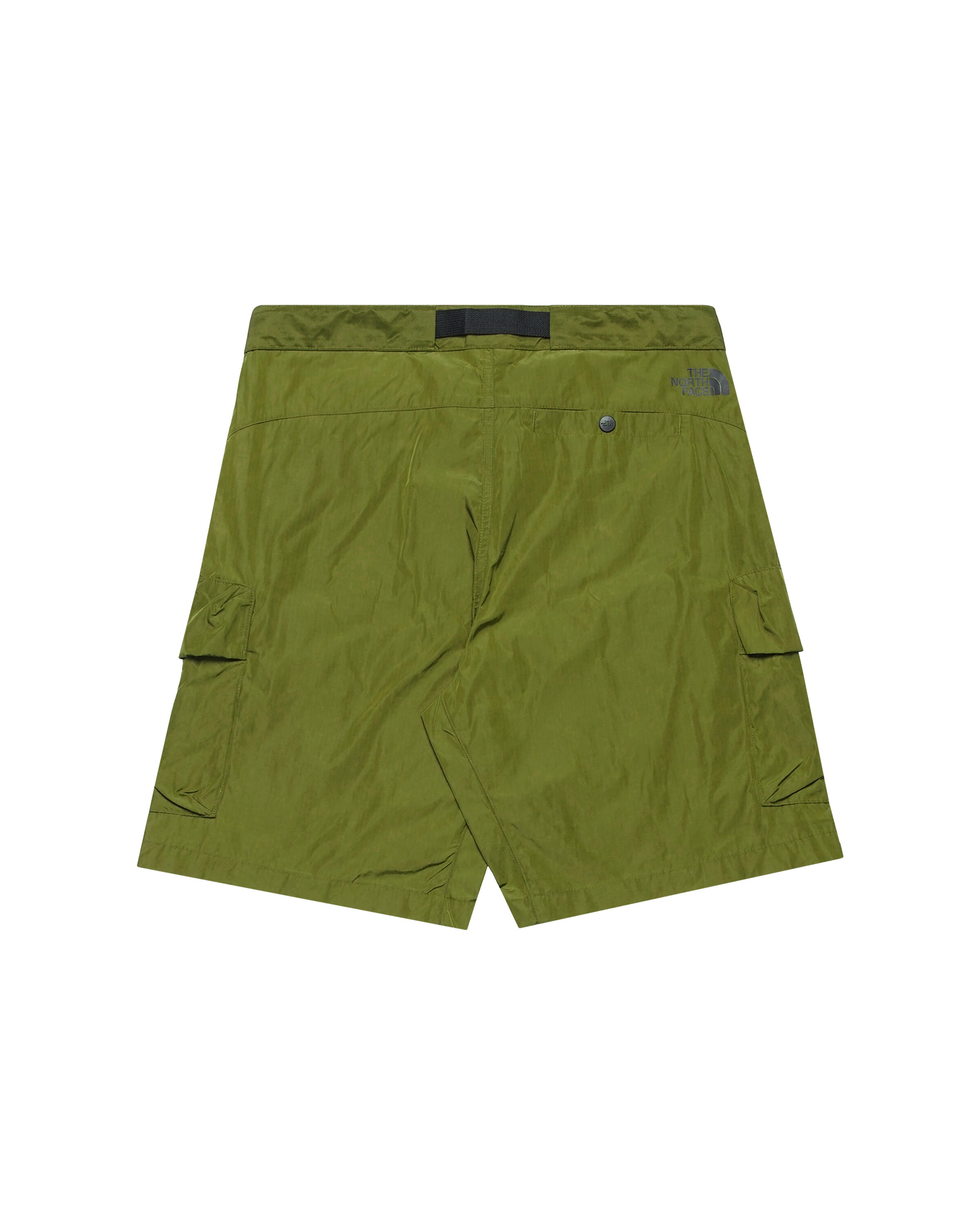 The North Face NSE CARGO POCKET SHORT | NF0A879RPIB1 | AFEW STORE